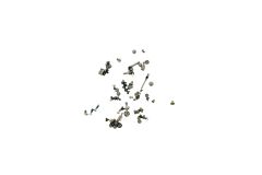 Official Apple iPhone 11 Pro Whole Screw Set