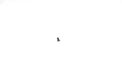 Official Huawei P Smart 2020 POT-LX1A 1.4mm x 2.5mm x 2.5mm x 0.5mm Black Screw - 51620751
