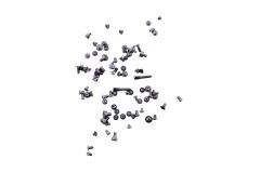 Official Apple iPhone XS Max Whole Screw Set